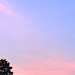 Noa Tsurushima Instagram - 頬染めるは陽炎の様に