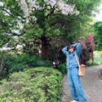 Non Instagram - 先日、ぎり葉桜と写真が撮れた。 すっかり春の陽気🍃 よっしゃー気合い入れてくぞーー