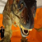 Nonoka Ono Instagram - 🦖 GWの思い出！ お台場でやってた恐竜博覧会🦖❤️‍🔥 なかなかリアルで、 最初は怖がっていた娘でしたが(大人でも恐い🤣) 最後は一緒にガオーガオー！ と楽しんでおりました✨ お土産に買った、 【きょうりゅうオーディション】 という絵本が娘に大ヒット！ 絵もストーリーも可愛くて、 恐竜の簡単な説明も書かれているの📝 毎晩２回は読むように言われ、 出てくる恐竜は私も覚えちゃいました🤣👍 プリンセスも良いけど (プリンセスと呼ぶと動きが少し落ち着く👸✨w) 歴史の勉強にもなる恐竜に 興味をもってくれるのは 親としては嬉しいな🤓👏笑 #GW #恐竜 #育児