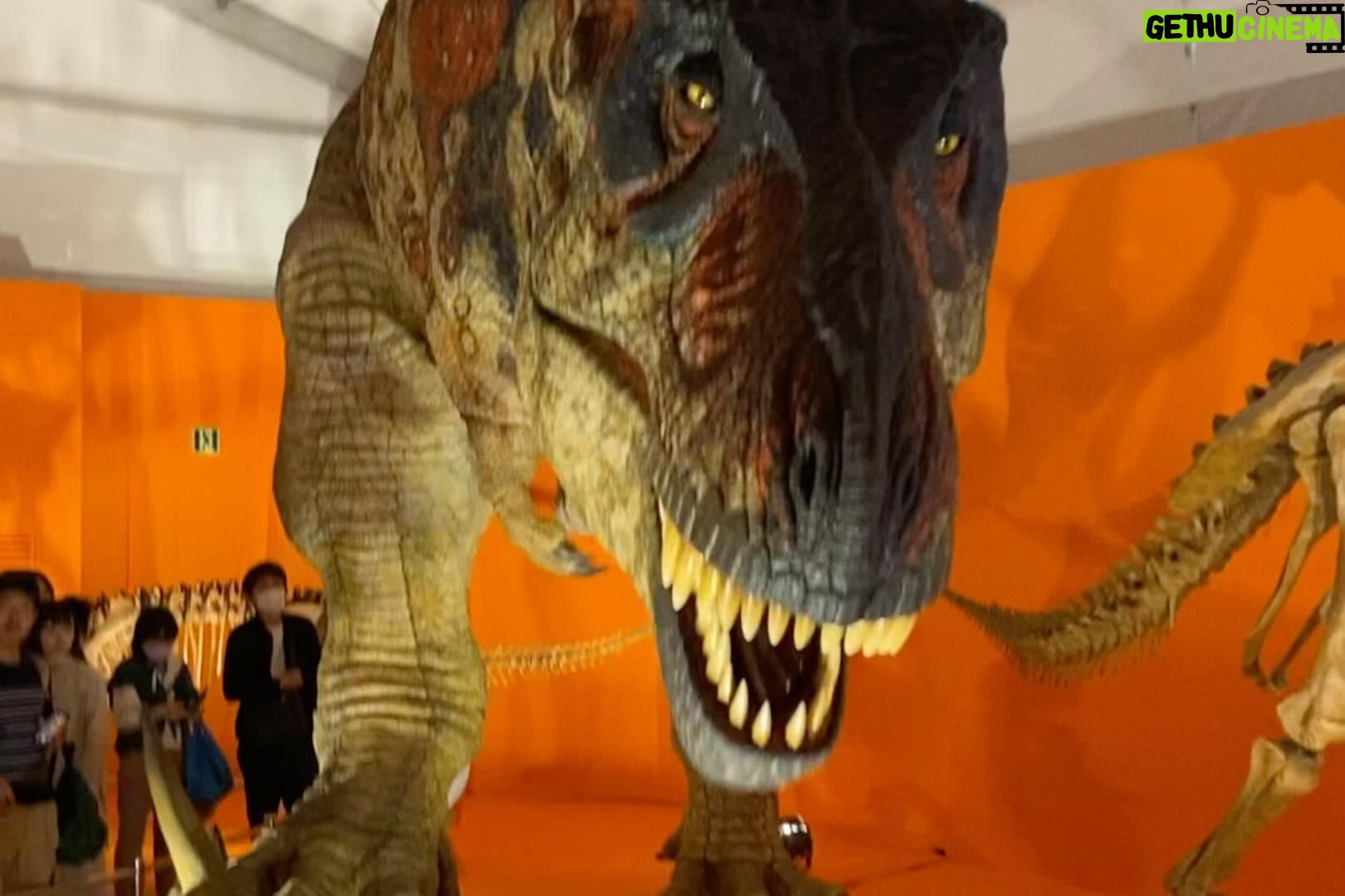 Nonoka Ono Instagram - š¦ GWć®ęćåŗļ¼ ćå°å “ć§ćć£ć¦ćęē«åč¦§ä¼š¦ā¤ļøāš„ ćŖććŖććŖć¢ć«ć§ć ęåćÆęćć£ć¦ććåØć§ććć(大人ć§ćę暤£) ęå¾ćÆäøē·ć«ć¬ćŖć¼ć¬ćŖć¼ļ¼ ćØę„½ććć§ććć¾ćć⨠ćåē£ć«č²·ć£ćć ćććććć
ććŖć¼ćć£ć·ć§ć³ć ćØććēµµę¬ćåØć«å¤§ćććļ¼ ēµµćć¹ćć¼ćŖć¼ćåÆęćć¦ć ęē«ć®ē°”åćŖčŖ¬ęćęøććć¦ćć殚 ęÆę©ļ¼åćÆčŖćććć«čØććć åŗć¦ććęē«ćÆē§ćč¦ćć”ććć¾ć暤£š ććŖć³ć»ć¹ćčÆććć© (ććŖć³ć»ć¹ćØå¼ć¶ćØåććå°ćč½ć”ēćšøāØw) ę“å²ć®åå¼·ć«ććŖćęē«ć« čå³ććć£ć¦ćććć®ćÆ č¦ŖćØćć¦ćÆå¬ćććŖš¤šē¬ #GW #ęē« #č²å
