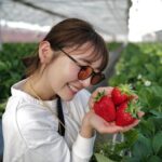 Nonoka Ono Instagram - 🍓 娘はじめてのいちご狩り！ スーパーのお高い苺をあげても そこまで食べてくれないのに ぱくぱく食べてた😲❤️ びっっっくりするほど 甘くてジューシー😭🙏❤️ あぁもう食べたい、、 今シーズンもういっかい狩りいくぞ👊🍓笑 @pieno_farm さん高速からすぐなので 都内からも行きやすく とてもおすすめですよ〜✨
