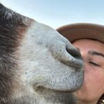 Nora Tschirner Instagram - Gesamtsituation. @jacobsridgeanimalsanctuary ♥️♥️🫂🫂🙏🏻🙏🏻