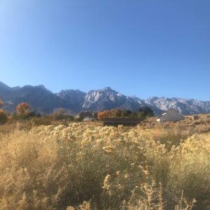 Norma Kuhling Instagram - Death Valley BTS part 2