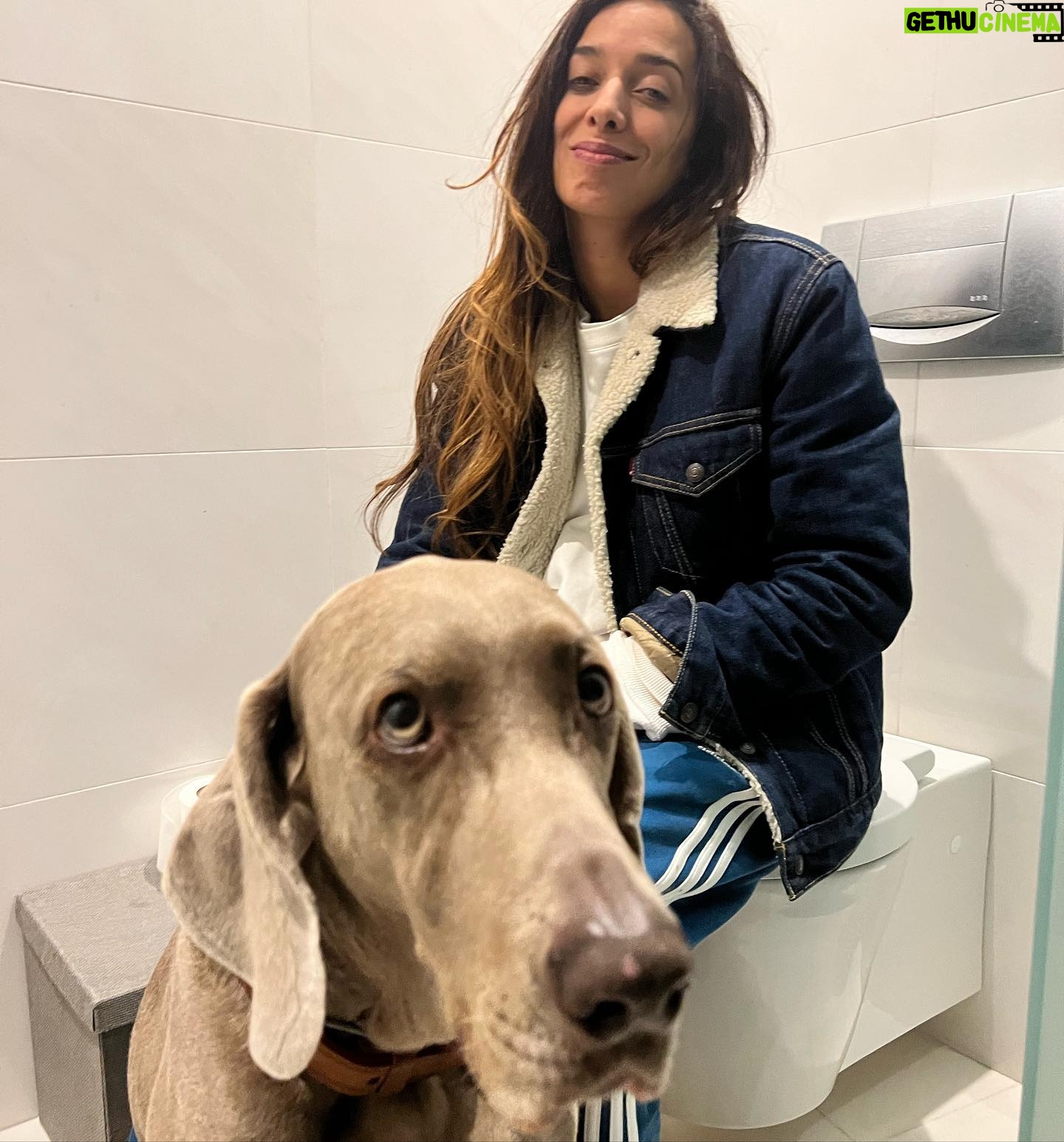 Noua Wong - 8.2K Likes - Esta tudo a correr muito bem com a minha gravidez graças a Deus.
Hoje uma pessoa me disse que queria ter tido a minha sorte de estar sempre em bom na gravidez (tb ela grávida de pouco menos tempo que eu).
Disse que visse a minha partilha de hoje, e como prometido, aqui vai alguns registos do meu 1º trimestre.
Esta 1ª foto foi no mesmo dia e mesma semana das que se seguem, disfrutem da minha história.
Os contos de fada tb têm dias não.
#letsmoms #workingmom #happy #proud #fairytale