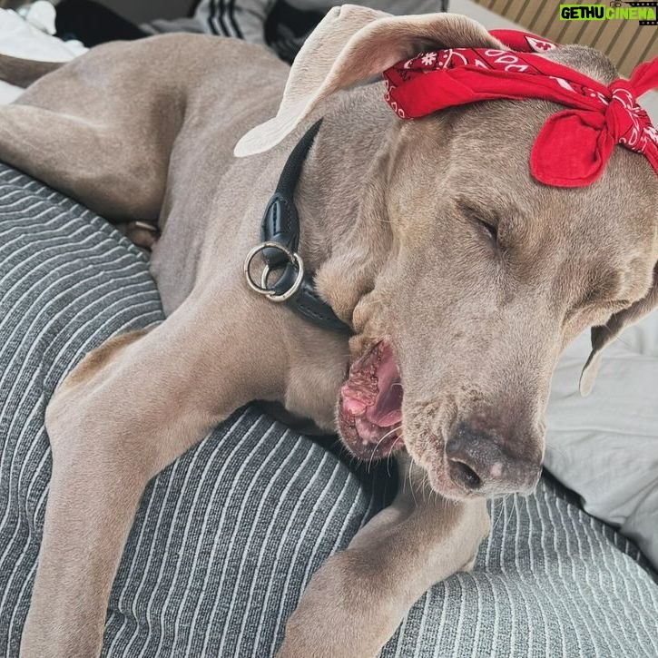 Noua Wong - 7.6K Likes - Hoje é dia de festa, a minha princesa patudinha faz anos e eu amo-a pra xuxu.
#zoe