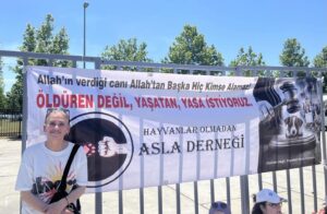 Nur Sürer Instagram - #SokakHayvanlarıSahipsizDeğildir