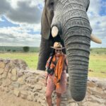 Nyesha Arrington Instagram - Connecting with elephants was a dream come true! 🐘💖🥹 Feeling their gentle presence, learning more about their intelligence, and observing social dynamics, was awe-inspiring. Grateful for the opportunity to interact with these majestic beings in a sanctuary where they can be safe as it deepen my appreciation for wildlife. #Elephants #Wildlife #Nature#Nurture #GratefulHeart