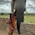 Nyesha Arrington Instagram - Connecting with elephants was a dream come true! 🐘💖🥹 Feeling their gentle presence, learning more about their intelligence, and observing social dynamics, was awe-inspiring. Grateful for the opportunity to interact with these majestic beings in a sanctuary where they can be safe as it deepen my appreciation for wildlife. #Elephants #Wildlife #Nature#Nurture #GratefulHeart
