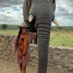 Nyesha Arrington Instagram - Connecting with elephants was a dream come true! 🐘💖🥹 Feeling their gentle presence, learning more about their intelligence, and observing social dynamics, was awe-inspiring. Grateful for the opportunity to interact with these majestic beings in a sanctuary where they can be safe as it deepen my appreciation for wildlife. #Elephants #Wildlife #Nature#Nurture #GratefulHeart
