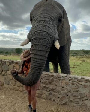 Nyesha Arrington Instagram - Connecting with elephants was a dream come true! 🐘💖🥹 Feeling their gentle presence, learning more about their intelligence, and observing social dynamics, was awe-inspiring. Grateful for the opportunity to interact with these majestic beings in a sanctuary where they can be safe as it deepen my appreciation for wildlife. #Elephants #Wildlife #Nature#Nurture  #GratefulHeart