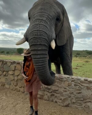 Nyesha Arrington Instagram - Connecting with elephants was a dream come true! 🐘💖🥹 Feeling their gentle presence, learning more about their intelligence, and observing social dynamics, was awe-inspiring. Grateful for the opportunity to interact with these majestic beings in a sanctuary where they can be safe as it deepen my appreciation for wildlife. #Elephants #Wildlife #Nature#Nurture  #GratefulHeart