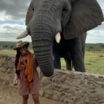 Nyesha Arrington Instagram - Connecting with elephants was a dream come true! 🐘💖🥹 Feeling their gentle presence, learning more about their intelligence, and observing social dynamics, was awe-inspiring. Grateful for the opportunity to interact with these majestic beings in a sanctuary where they can be safe as it deepen my appreciation for wildlife. #Elephants #Wildlife #Nature#Nurture #GratefulHeart