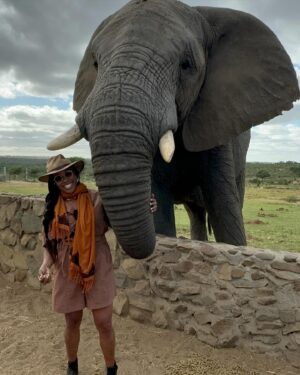 Nyesha Arrington Instagram - Connecting with elephants was a dream come true! 🐘💖🥹 Feeling their gentle presence, learning more about their intelligence, and observing social dynamics, was awe-inspiring. Grateful for the opportunity to interact with these majestic beings in a sanctuary where they can be safe as it deepen my appreciation for wildlife. #Elephants #Wildlife #Nature#Nurture  #GratefulHeart