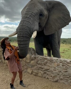 Nyesha Arrington Instagram - Connecting with elephants was a dream come true! 🐘💖🥹 Feeling their gentle presence, learning more about their intelligence, and observing social dynamics, was awe-inspiring. Grateful for the opportunity to interact with these majestic beings in a sanctuary where they can be safe as it deepen my appreciation for wildlife. #Elephants #Wildlife #Nature#Nurture  #GratefulHeart