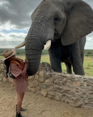Nyesha Arrington Instagram - Connecting with elephants was a dream come true! 🐘💖🥹 Feeling their gentle presence, learning more about their intelligence, and observing social dynamics, was awe-inspiring. Grateful for the opportunity to interact with these majestic beings in a sanctuary where they can be safe as it deepen my appreciation for wildlife. #Elephants #Wildlife #Nature#Nurture  #GratefulHeart