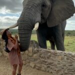Nyesha Arrington Instagram - Connecting with elephants was a dream come true! 🐘💖🥹 Feeling their gentle presence, learning more about their intelligence, and observing social dynamics, was awe-inspiring. Grateful for the opportunity to interact with these majestic beings in a sanctuary where they can be safe as it deepen my appreciation for wildlife. #Elephants #Wildlife #Nature#Nurture #GratefulHeart