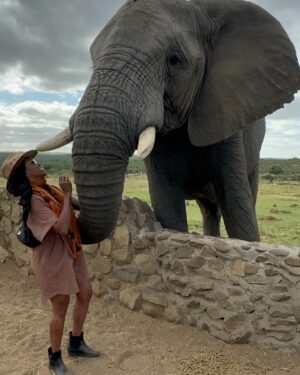 Nyesha Arrington Instagram - Connecting with elephants was a dream come true! 🐘💖🥹 Feeling their gentle presence, learning more about their intelligence, and observing social dynamics, was awe-inspiring. Grateful for the opportunity to interact with these majestic beings in a sanctuary where they can be safe as it deepen my appreciation for wildlife. #Elephants #Wildlife #Nature#Nurture  #GratefulHeart