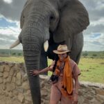 Nyesha Arrington Instagram - Connecting with elephants was a dream come true! 🐘💖🥹 Feeling their gentle presence, learning more about their intelligence, and observing social dynamics, was awe-inspiring. Grateful for the opportunity to interact with these majestic beings in a sanctuary where they can be safe as it deepen my appreciation for wildlife. #Elephants #Wildlife #Nature#Nurture #GratefulHeart