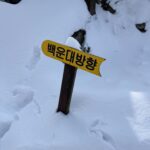 Oh Se-eun