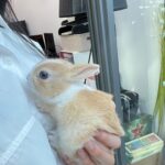 Oh Seung-hee Instagram - ㄲ6총🐰와랄라