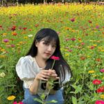 Oh Seung-hee Instagram -