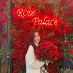 Oh Yu-jin Instagram - 🌹