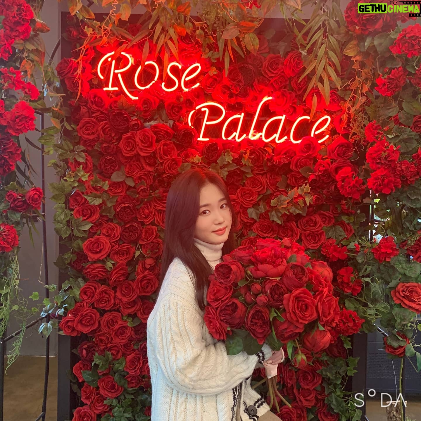 Oh Yu-jin - 37.6K Likes - 🌹