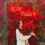 Oh Yu-jin Instagram - 🌹