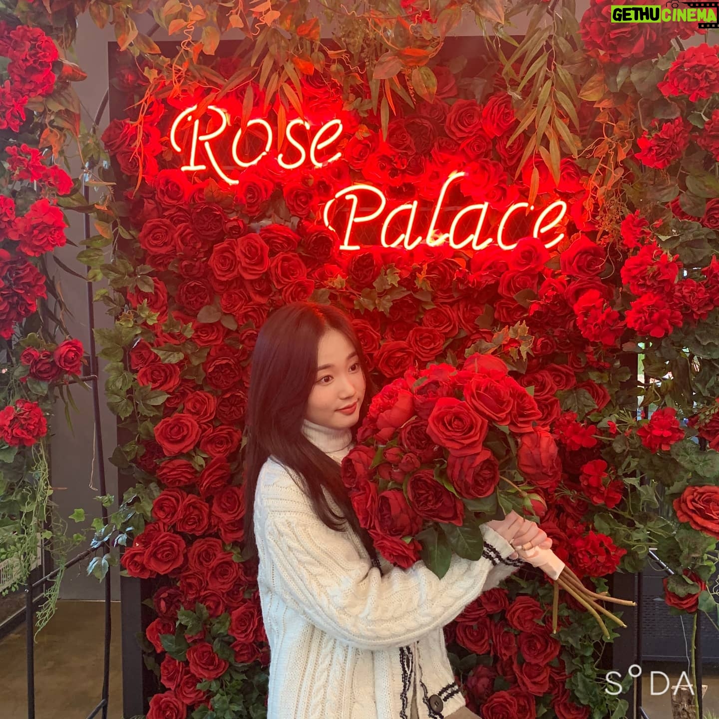 Oh Yu-jin - 37.6K Likes - 🌹