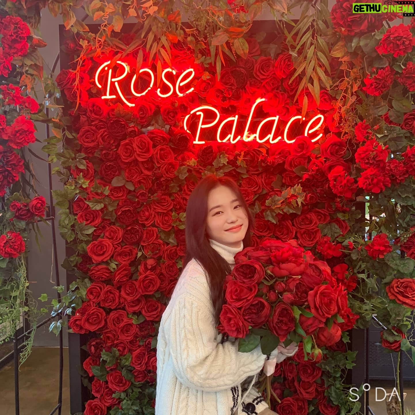 Oh Yu-jin - 37.6K Likes - 🌹
