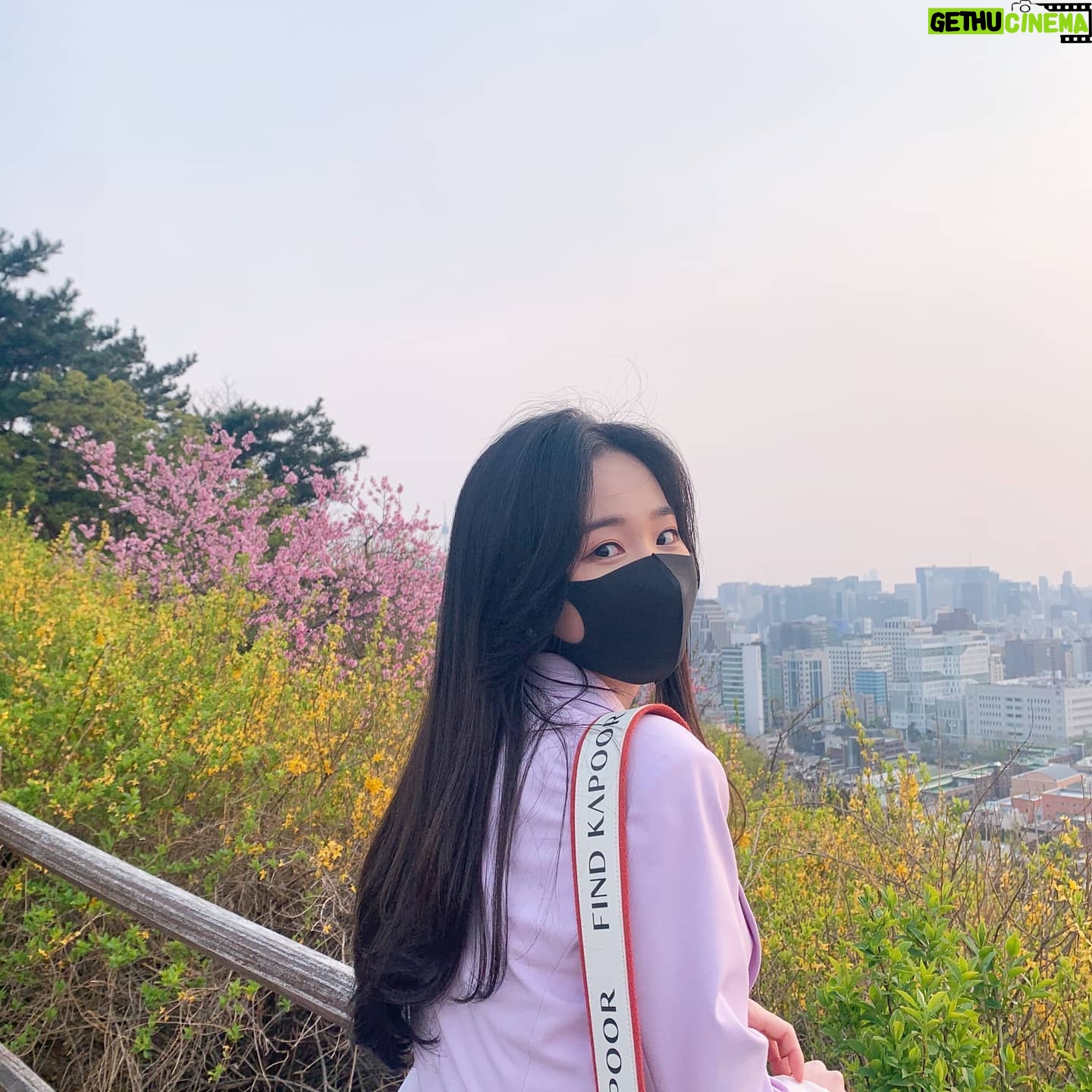 Oh Yu-jin - 36.1K Likes - 😷
#낙산공원 #보라돌이