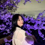 Oh Yu-jin Instagram - 🌸 #벚꽃 #수봉공원 #야경 #예뻤어 #☺️