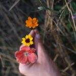 Olesya Rulin Instagram – Earlier this spring, we planted 2 acres worth of wildflowers. These are just some of the new growth for our pollinators. I’m looking forward to next spring to see the rest of them bloom.