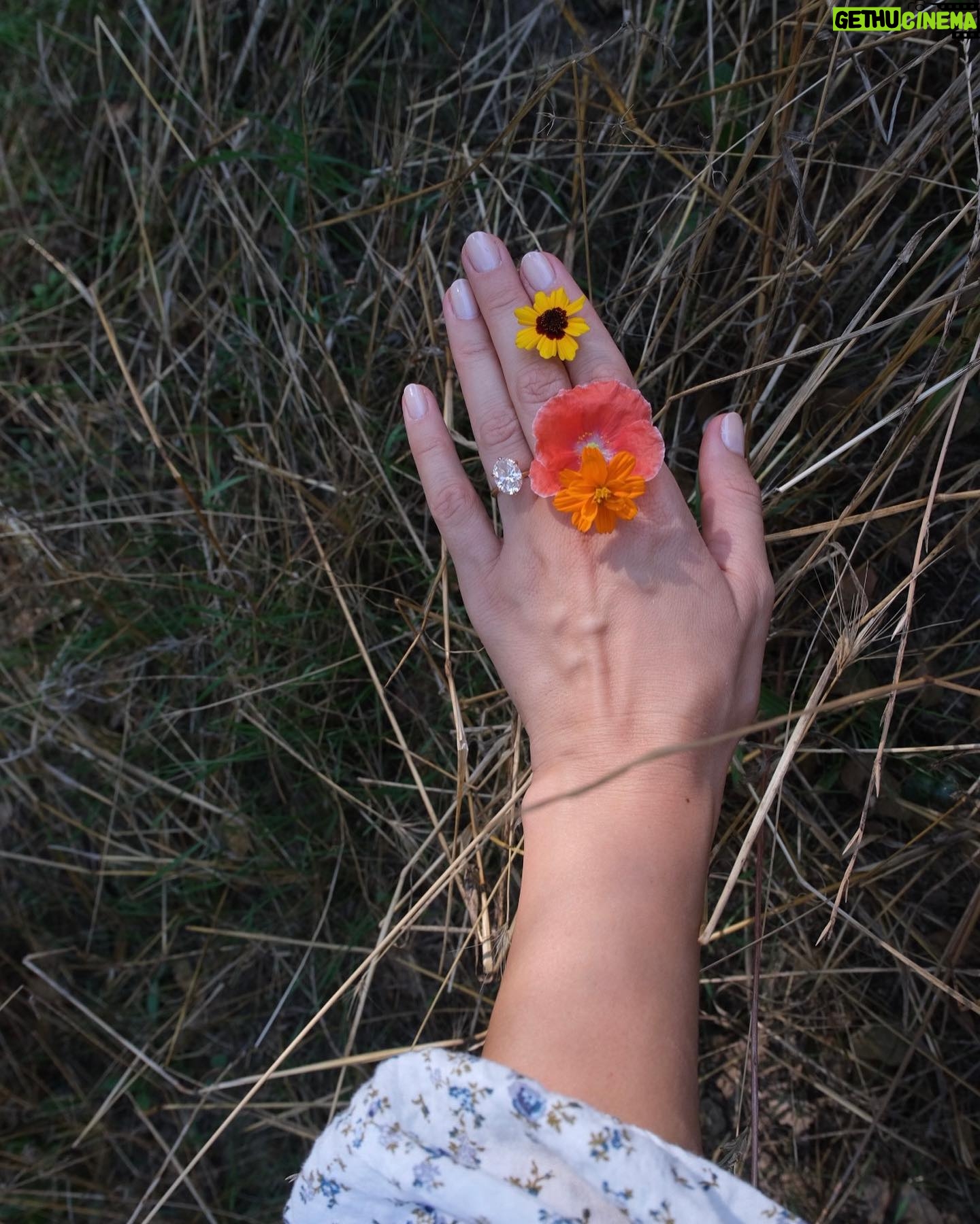 Olesya Rulin Instagram - Earlier this spring, we planted 2 acres worth of wildflowers. These are just some of the new growth for our pollinators. I’m looking forward to next spring to see the rest of them bloom.