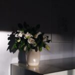 Olesya Rulin Instagram – The difference of morning to evening light is one of my favorite things on earth. @highcampgardenias