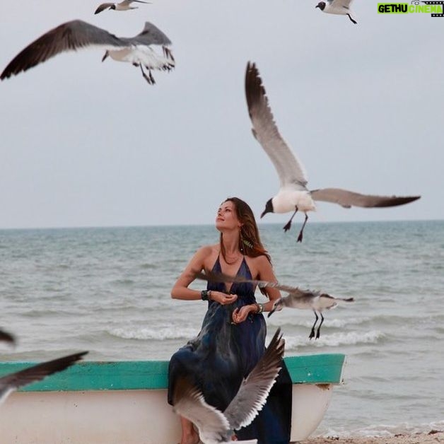 Olga Fonda - 1.1K Likes - #tbt to my happy place 😝. What's your happy place? 💕🌊#nature #lovenature #beautyaroundyou #happyplace #birds #ocean #sand #boat #travel #mexico #travelphotography #naturephotography #photography