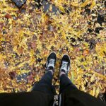 Olga Shelest Instagram – 🎾🍃🍂🍁🌾 #Flag #australiancattledog #redheeler #fall
