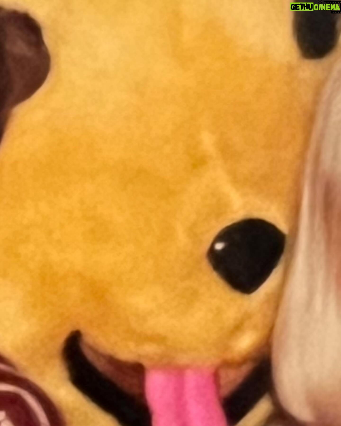 Olivia Kippen Instagram - What in the Pikachu? (Also, kid in the bottom right haha)