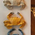 Olivia Morris Instagram - Just an overwhelmed girl and her ceramic crustaceans 📸: @katharine.odonnelly