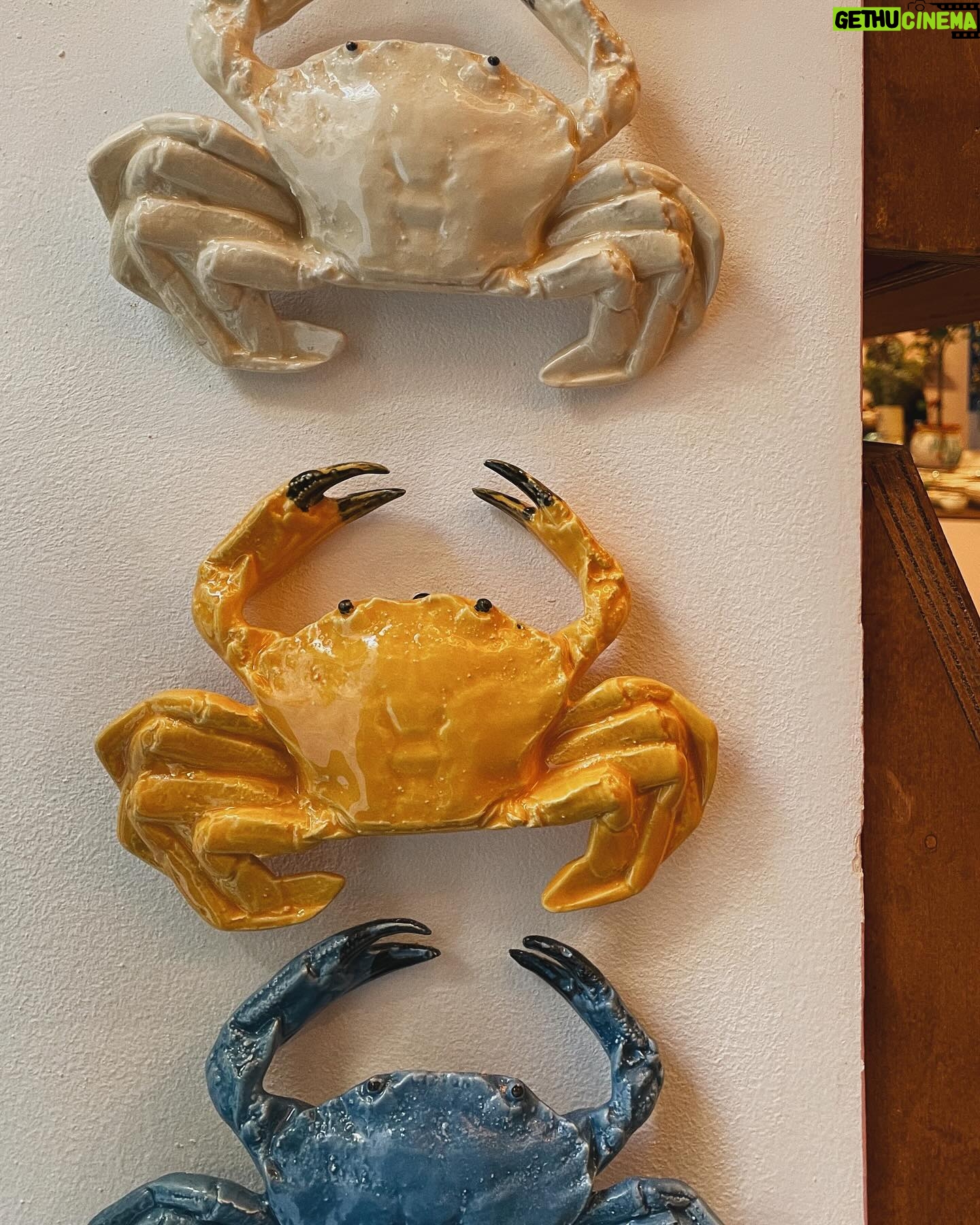 Olivia Morris Instagram - Just an overwhelmed girl and her ceramic crustaceans 📸: @katharine.odonnelly