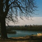 Olivia Morris Instagram - Belgrade, Serbia on film (2024)