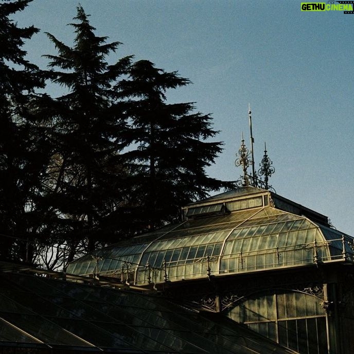 Olivia Morris Instagram - Belgrade, Serbia on film (2024)