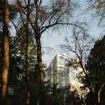 Olivia Morris Instagram - Belgrade, Serbia on film (2024)
