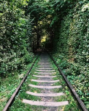 Olivia Morris Instagram - Flicking through my camera roll, RRR 2019-2021. Some flights, some unseen locations and a lot of my lovely green (sometimes red) 1920s Austin 7 Tourer. 
@rrrmovie