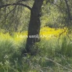 Olivia Sanabia Instagram – 3 DAYS!!!! #angel 🌼🌼🌼