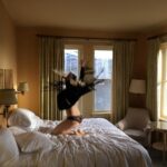 Olivia Taylor Dudley Instagram – throwback to the days of living out of suitcases in magical hotels ✨ pic by @elie_smolkin