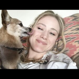 Olivia Taylor Dudley Instagram - Sophia My Queen 💔 Yesterday after 14 beautiful years together, you said goodbye surrounded by those who loved you most. I knew this day was coming but nothing could have prepared me for this kind of unbearable heartbreak. Sophia was my baby girl, my best friend. She lived to be about 17/18/19? which is a miracle and just goes to show how strong her little spirit was. She was a rescue, but she rescued me. My mom and sister found her at the pound back home and drove her to LA to surprise me! It was the best gift I’ve ever received. Then Sophia The Queen and I spent 14 amazing years growing up together, going on endless adventures, traveling the world, and being by each others side through the good times and the bad. She was wise beyond her years and made a friend to everyone she met along the way, and boy did she meet a lot of friends in this world. Even when she went deaf and blind about 6 years ago that didn’t slow her sassy lady legs down. I’m so grateful for @papertomm who loved her unconditionally and helped take such amazing care of her the past few years when she got too old to travel with me. He was the best doggie Dad to her there ever was. Sophia was the most kind creature I have ever known and If you were lucky enough to have partied with her you know that she was a mystical creature from another world. I feel so honored to have been her mommy ❤️ I love you #sophiamyqueen #heartbroken