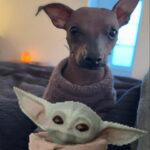 Olivia Taylor Dudley Instagram - #Alf #Grogu #samething