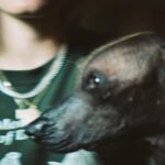 Olivia Taylor Dudley Instagram - “Do not meddle in the affairs of dragons for you are crunchy and taste good with ketchup”