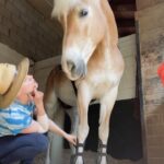 Olivia Taylor Dudley Instagram - mane feed.